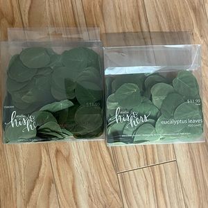 Eucalyptus leaves for decoration